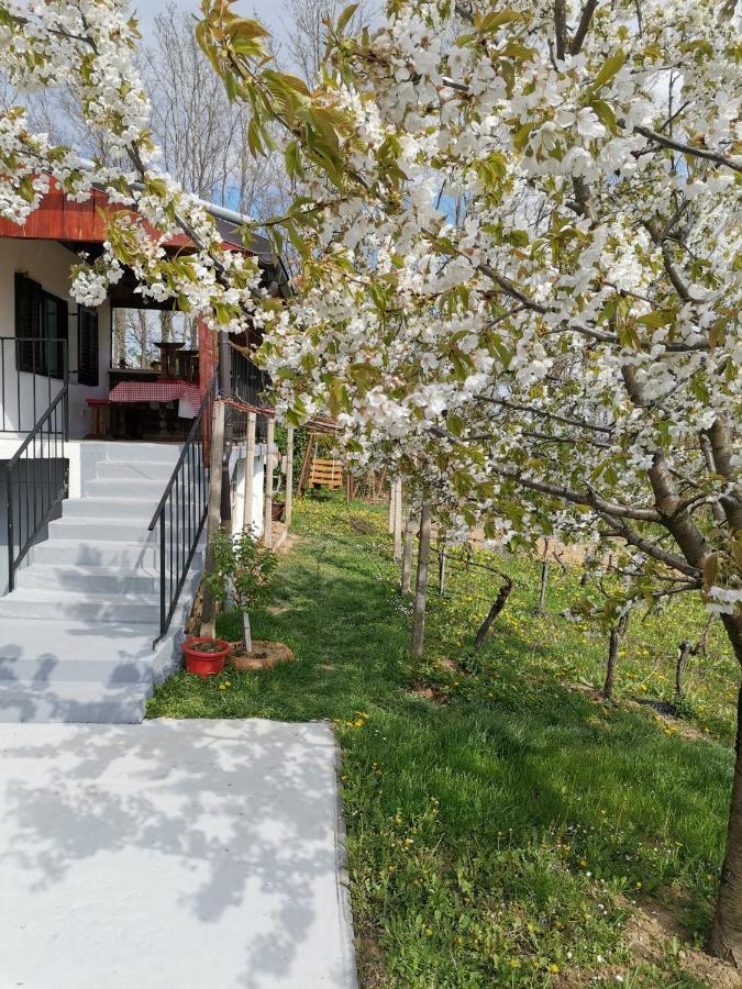 Villa Marijana Varazdinske Toplice Eksteriør billede