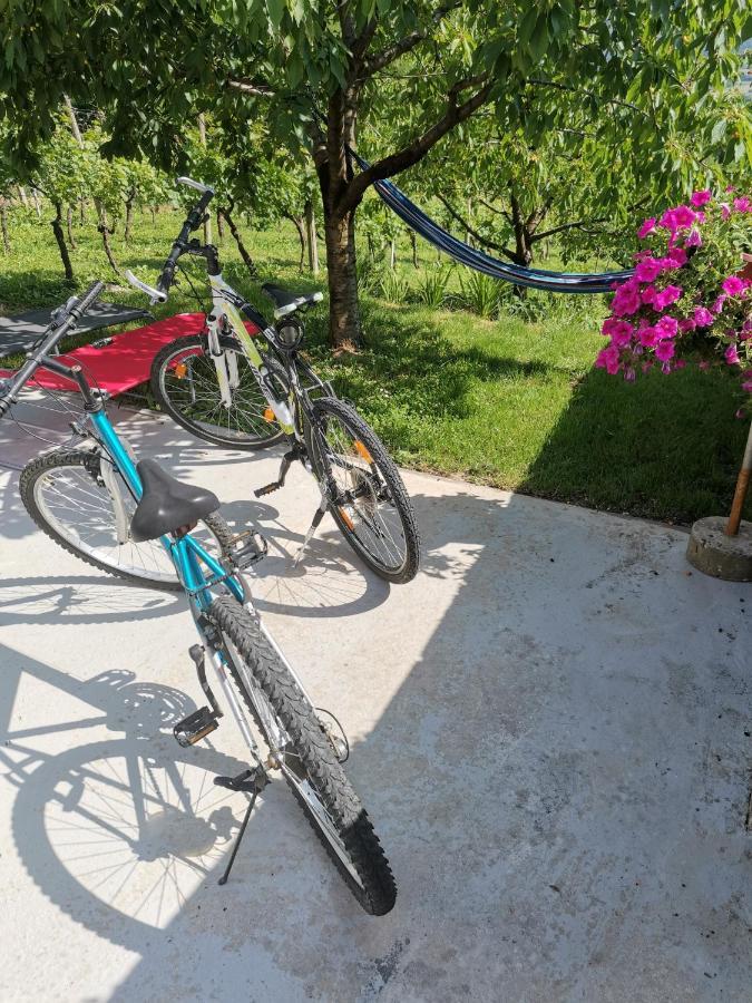 Villa Marijana Varazdinske Toplice Eksteriør billede