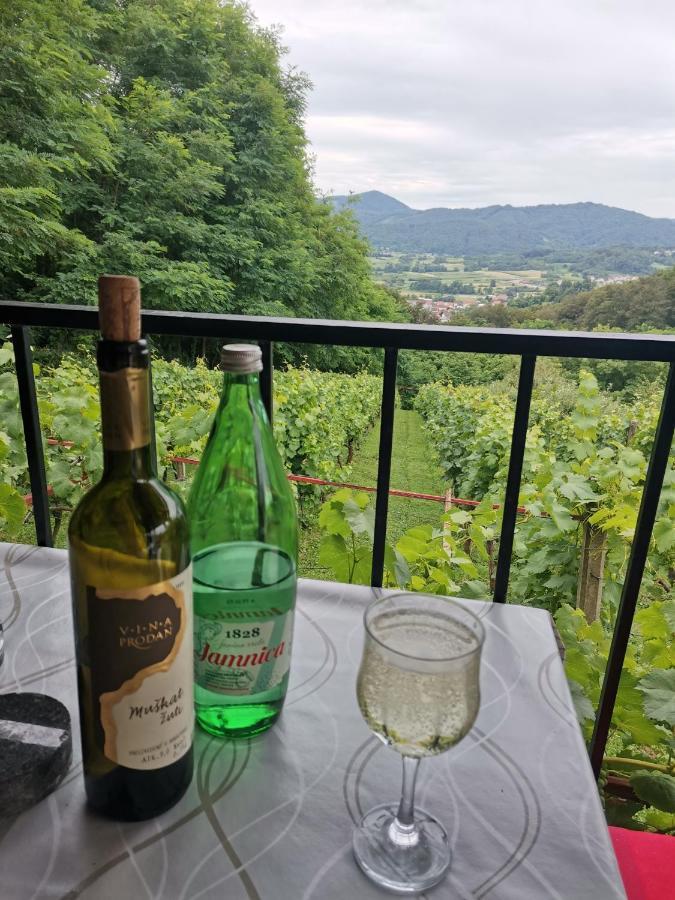 Villa Marijana Varazdinske Toplice Eksteriør billede