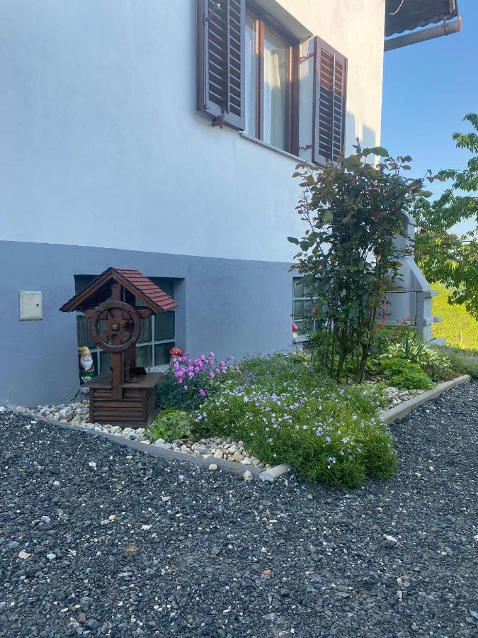Villa Marijana Varazdinske Toplice Eksteriør billede